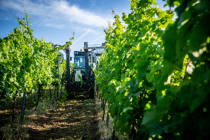 Traktor 5115GV z rezalnikom listja